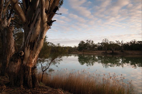Murray-Kulkyne Regional Park - Accommodation in Bendigo 0