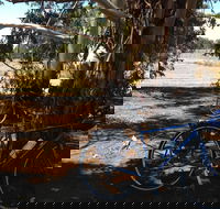 Murchison Rail Trail - Accommodation in Bendigo