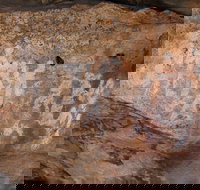 Ngamadjidj Shelter - Wartook Valley - Accommodation in Bendigo