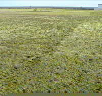 Nilla Yannagalang Billana - Accommodation in Bendigo