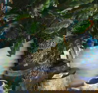 Noreen's Seaside Shop - Accommodation in Bendigo