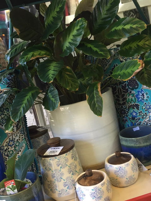 Noreen's Seaside Shop - Accommodation in Bendigo 0