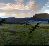 Numinbah Valley Adventure  Camping - Accommodation in Bendigo