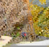 Old Great North Road - World Heritage Walk - Accommodation in Bendigo