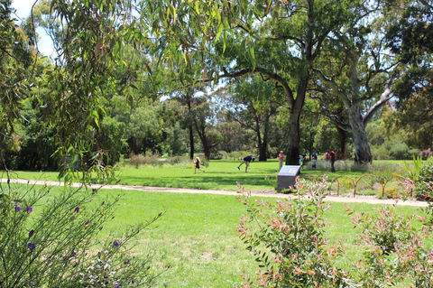 Parkville Heritage Walks - Accommodation in Bendigo 2