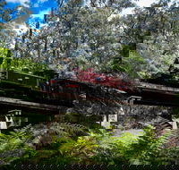 Puffing Billy Railway - Accommodation in Bendigo