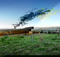 Ravensbourne National Park - Accommodation in Bendigo