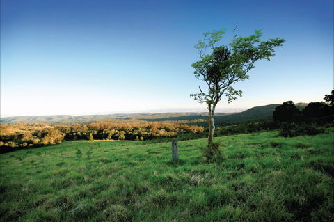 Ravensbourne National Park - Accommodation in Bendigo 0