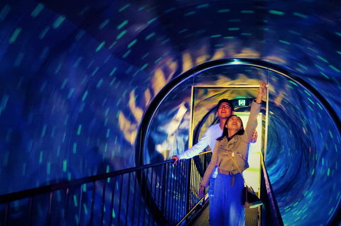 Ripleys Believe It Or Not! Odditorium - Accommodation in Bendigo 1