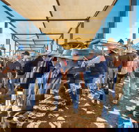 Roma - Accommodation in Bendigo