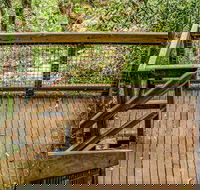 Somersby Falls walking track - Accommodation in Bendigo