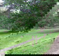 St Albans Reserve - Accommodation in Bendigo