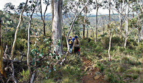 Summits Walking Track - Accommodation in Bendigo 0