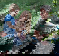 Tamworth Marsupial Park and Adventure Playground - Accommodation in Bendigo