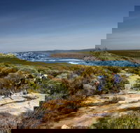 The Coast track - Accommodation in Bendigo
