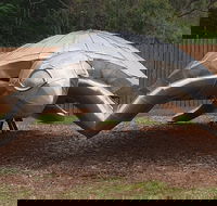 Underwater Marine Sculptures - Accommodation in Bendigo