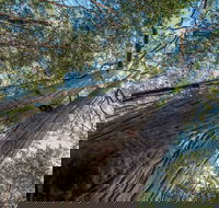 Wallumatta Nature Reserve - Accommodation in Bendigo