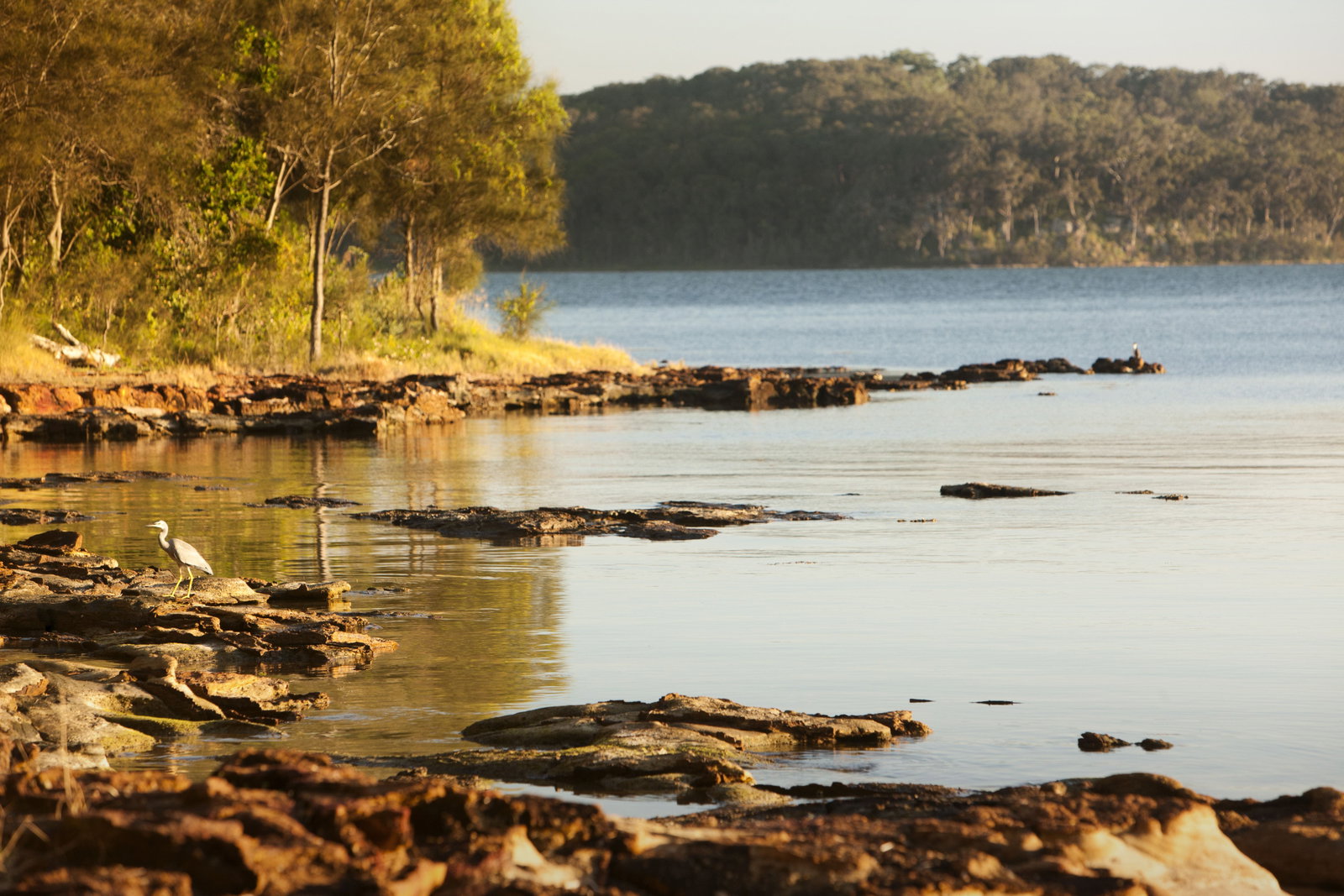 Wangi Wangi NSW Accommodation in Bendigo