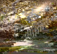 Wendy Whiteley's Secret Garden - Accommodation in Bendigo