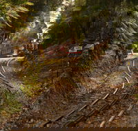 West Coast - Accommodation in Bendigo