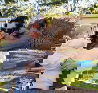 White Ridge Farm - Accommodation in Bendigo