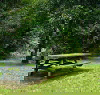 Williams River picnic area - Accommodation in Bendigo