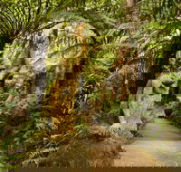 William Ricketts Sanctuary - Accommodation in Bendigo
