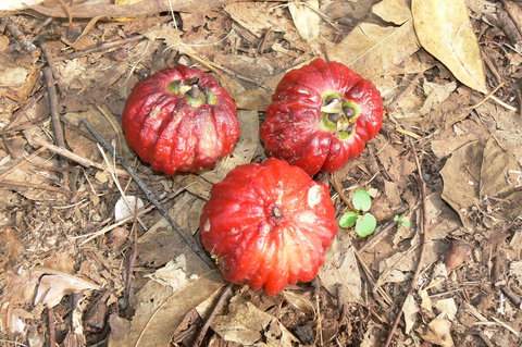 Window On The Wetlands - Accommodation in Bendigo 1