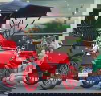 Wonders of Wynyard  Exhibition and Visitor Information Centre - Accommodation in Bendigo