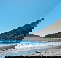 Yacaaba Headland Walking Track - Accommodation in Bendigo