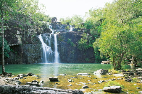 Airlie Beach To Cedar Creek Falls - Accommodation in Bendigo 0