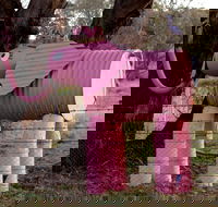 Animals on Bikes - Accommodation in Bendigo