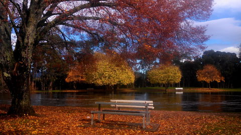Bells Parade Reserve - Accommodation in Bendigo 0