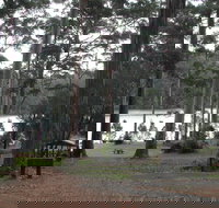 Big Brook Arboretum - Accommodation in Bendigo