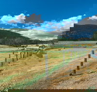 Blackwood River Tourist Drive - Accommodation in Bendigo