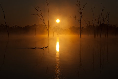 Boshack Outback - Accommodation in Bendigo 1