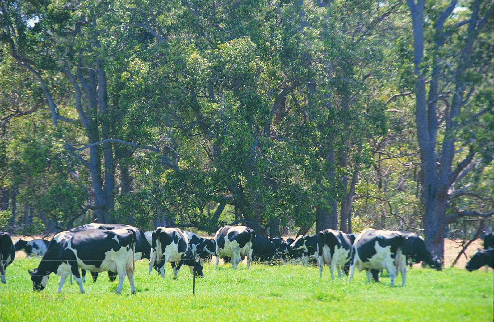 Stratham WA Accommodation in Bendigo