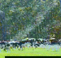 Boyanup - Accommodation in Bendigo