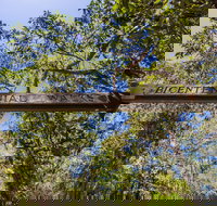 Bribie Island Bicentennial Trails - Accommodation in Bendigo