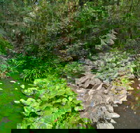 Brindle Creek Picnic Area - Accommodation in Bendigo