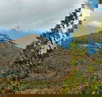 Burrowa-Pine Mountain National Park - Accommodation in Bendigo