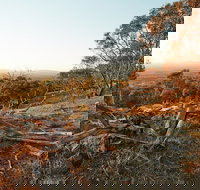 Chick Hill Walk - Accommodation in Bendigo