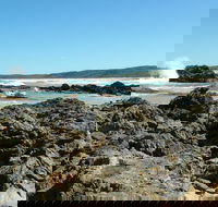 Coastal Walks - Bermagui - Accommodation in Bendigo