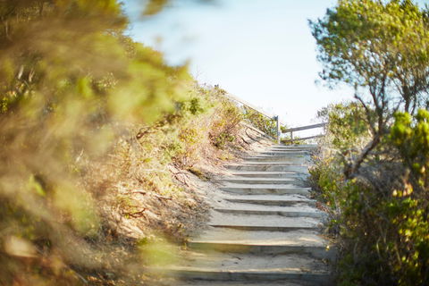 Coppins Walk Track (part Of The Coastal Walk) - Accommodation in Bendigo 0
