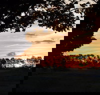 Dangar's Lagoon and Racecourse Lagoon