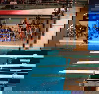 Dive Into History at Sydney Olympic Park Aquatic Centre - Accommodation in Bendigo