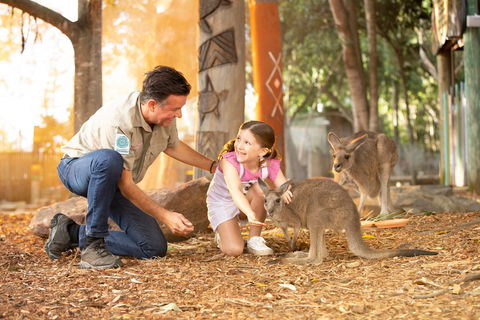 Dreamworld - Accommodation in Bendigo 2