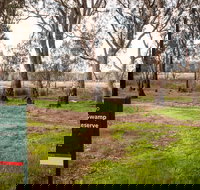 Gemmill Swamp Wildlife Reserve - Accommodation in Bendigo