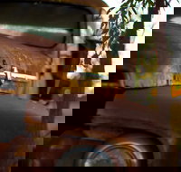 Gladstone into the Hinterland - Accommodation in Bendigo