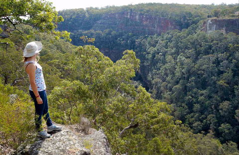 Glenbrook Gorge Track - Accommodation in Bendigo 0